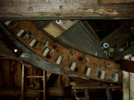 Koko À l'intérieur