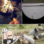 Roggebotstaete Gourou