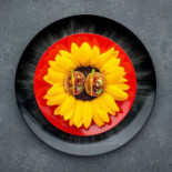 't Paviljoen Boisson