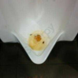 Elfhoeven Bar Restaurant Nourriture