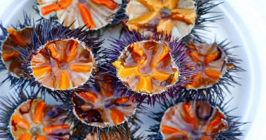 Spandershoeve Boisson