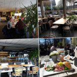 Brunch Hoenderloo Gourou