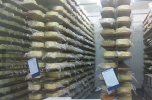 Chinees Indisch Tin Sing Carta