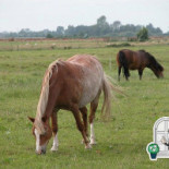 Partycentrum De Ducdalf' Espel Extérieur