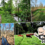 Mosselhuis T Hepke Geulle Guru