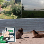 Brunch Hoenderloo Gourou