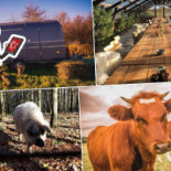 Roggebotstaete Extérieur