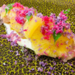 Assiette Blanche Extérieur