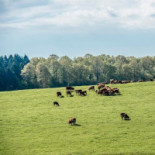 Hostellerie Gilain Extérieur