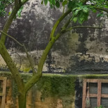 Iegewies Eten Drinken Extérieur