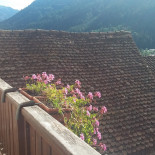 't Zusje Terneuzen outside