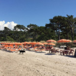 Eetcafe Pension T Overleg Extérieur