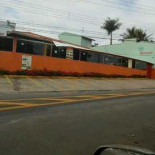 Lemon Leaf Extérieur