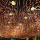 Fransen Hostas Getränk