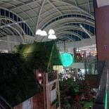 Cake Une Fois Extérieur