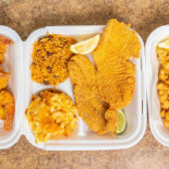 Rode Rozen Tortilla's Comida