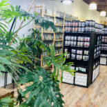 Tchoupy Ice Cream À l'intérieur