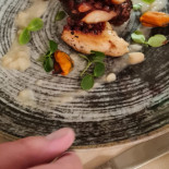 Boerhaave Nourriture