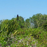 Indochine Extérieur