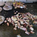 Wok Snacks Nourriture