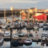 Magic Tours Autocar Extérieur