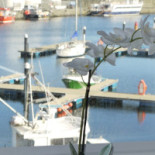 Magic Tours Autocar Extérieur