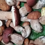 Wijning, Wijn Beleving Nourriture