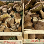 Wijning, Wijn Beleving Boisson