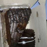 Bistro Des Cygnes Comida