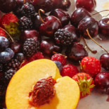 Ten Daele Nourriture