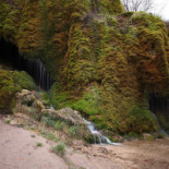 Porcus Campus Extérieur