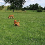 Osushi Japans Extérieur