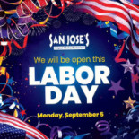 To Daze Concept Store Logo