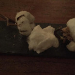 Viscircus Gebr. Koning Bebida