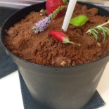 Dijkhuis Ophemert Nourriture