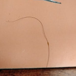 Moio Beachclub Bebida