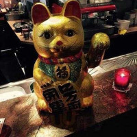 Duinrand À l'intérieur