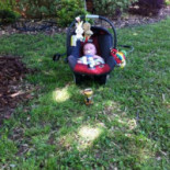 Theetuin De Wilde Framboos Extérieur