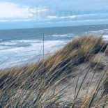 Columbia BV Extérieur