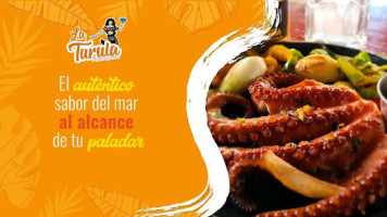 Proeftijd Bij Will Co Carte