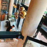 Harmienehoeve Dentro