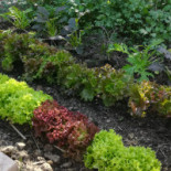 De Kluiver Extérieur