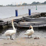 Bar Restaurant At Sea Extérieur