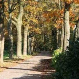 Cafe Petit 't Hunebed Borger Extérieur