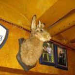 Airrepublic Nourriture