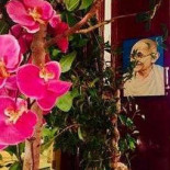 Indiaas Gandhi Exterior