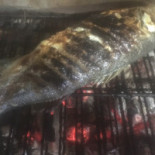 Van Den Hogen Bebida