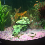 Croissanterie Het Waterpoortje Extérieur