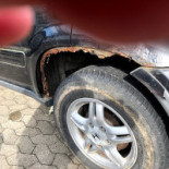 Argentijns Mexicaans Ant El Paso Extérieur