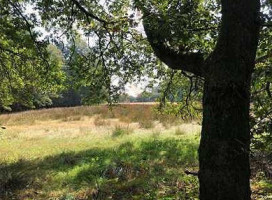 Cafe De Eenhoorn Bv Oostburg outside